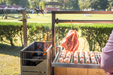 Stono Outdoor Living Outdoors near a grassy field, a Tagwood BBQ S Shape Meat Hooks (set of 7) by Tagwood BBQ holds sausages and a large cut of meat on a 304 stainless steel grill, slow-cooking as someone rides horseback in the background.