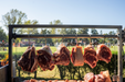 Stono Outdoor Living Large cuts of raw meat hang on Tagwood BBQ S Shape Meat Hooks (set of 7, BBQ56SS) by Tagwood BBQ, outdoors with a sunlit background—ideal for slow cooking or hanging meats in the open air.