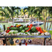 Stono Outdoor Living An array of fresh vegetables, like bok choy and peppers, is arranged on the Tagwood BBQ Argentine Santa Maria Wood Fire & Charcoal Grill (BBQ06SS) by Tagwood BBQ outdoors near a canal lined with boats and palm trees.